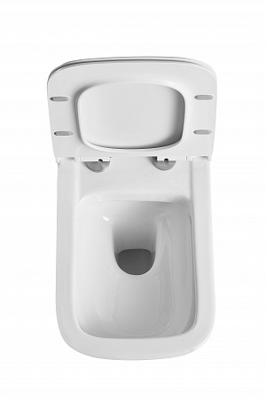 Подвесной унитаз Terminus Ното 550х350 белый Копейск - фото 6