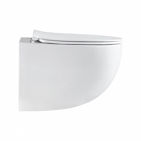 Подвесной унитаз безободковый Terminus Енисей Monolit 560х390 белый Копейск - фото 4