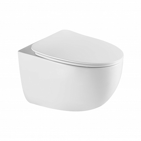 Подвесной унитаз безободковый Terminus Енисей Monolit 560х390 белый Копейск - фото 2