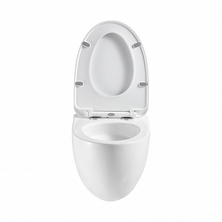 Подвесной унитаз безободковый Terminus Енисей Monolit 560х390 белый Копейск - фото 5