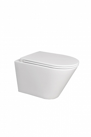 Подвесной унитаз безободковый Terminus Классик 540х365 белый Копейск - фото 5