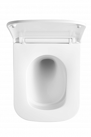 Подвесной унитаз безободковый Terminus Ватикан Монолит 490х340 белый Копейск - фото 3